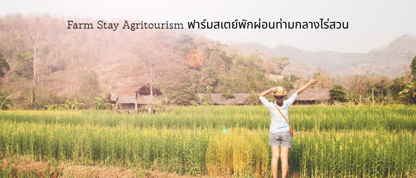 Farm Stay Agritourism – ฟาร์มสเตย์พักผ่อนท่ามกลางไร่สวน